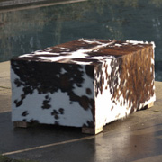 Coffee or occasional table
