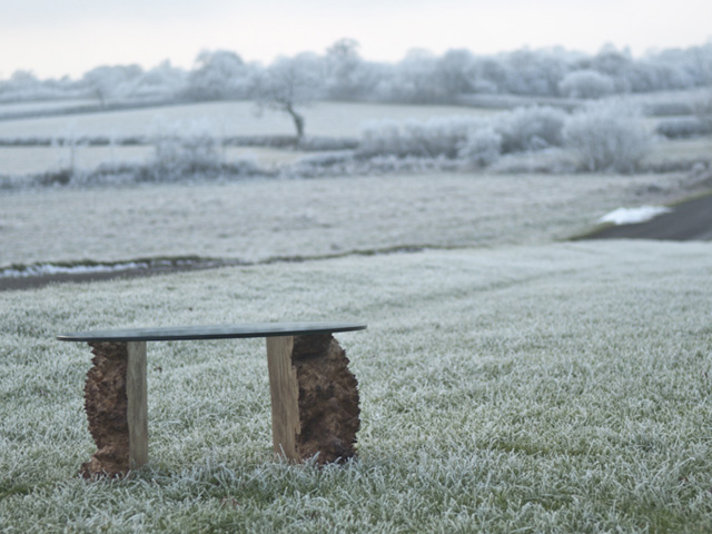 Burr Oak and Glass Coffee Table
